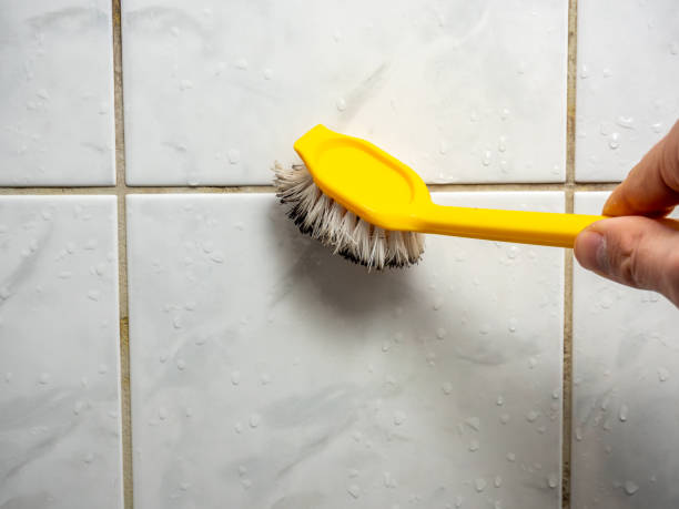 Best Residential Mold Removal  in Manly, IA