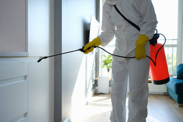 Mold Testing and Removal in Manly, IA