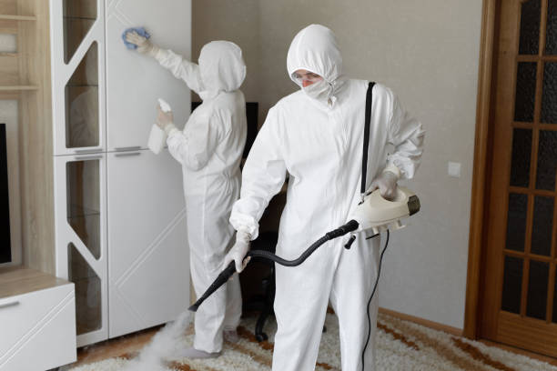 Best Professional Mold Removal  in Manly, IA